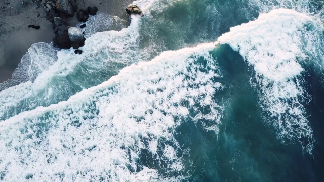 Sea Seeen
