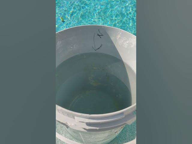 bucket test results Sunday